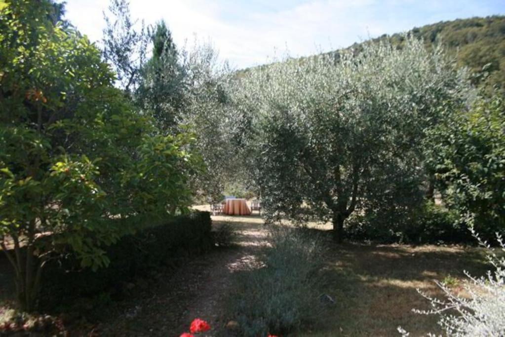 Petroio Podere Gli Oppi Toscanaヴィラ エクステリア 写真