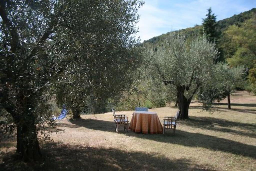 Petroio Podere Gli Oppi Toscanaヴィラ エクステリア 写真